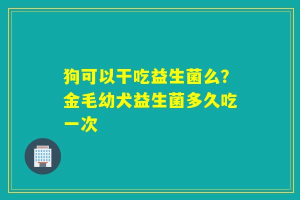 狗可以干吃益生菌么？金毛幼犬益生菌多久吃一次