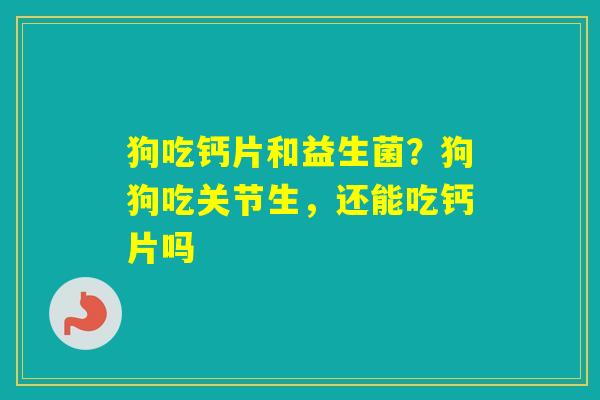 狗吃钙片和益生菌？狗狗吃关节生，还能吃钙片吗