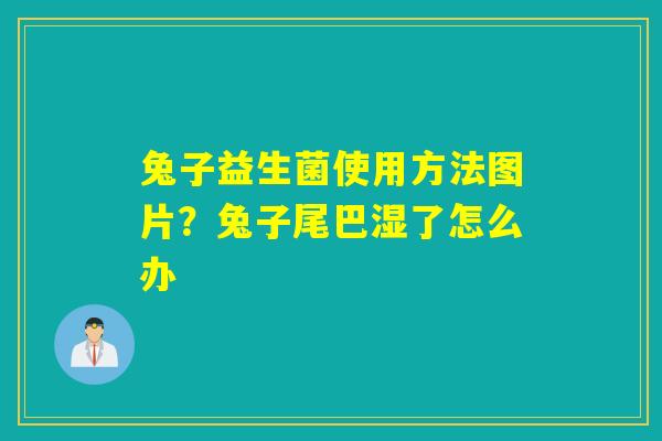 兔子益生菌使用方法图片？兔子尾巴湿了怎么办