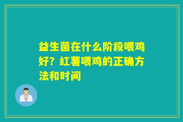 益生菌在什么阶段喂鸡好？红薯喂鸡的正确方法和时间