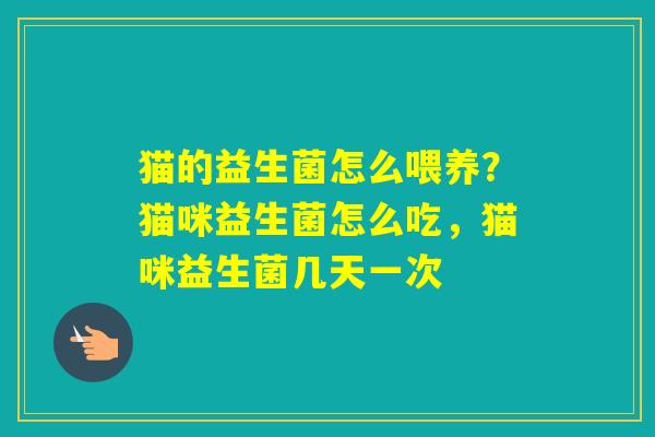 猫的益生菌怎么喂养？猫咪益生菌怎么吃，猫咪益生菌几天一次