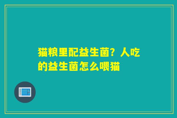 猫粮里配益生菌？人吃的益生菌怎么喂猫
