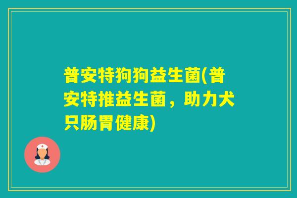 普安特狗狗益生菌(普安特推益生菌，助力犬只肠胃健康)
