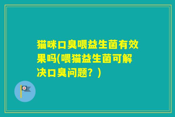 猫咪喂益生菌有效果吗(喂猫益生菌可解决问题？)