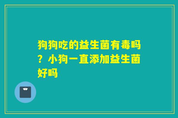 狗狗吃的益生菌有毒吗？小狗一直添加益生菌好吗