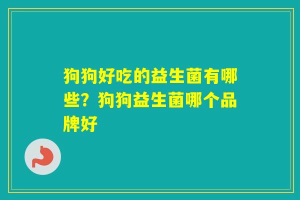 狗狗好吃的益生菌有哪些？狗狗益生菌哪个品牌好