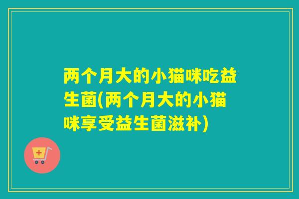 两个月大的小猫咪吃益生菌(两个月大的小猫咪享受益生菌滋补)