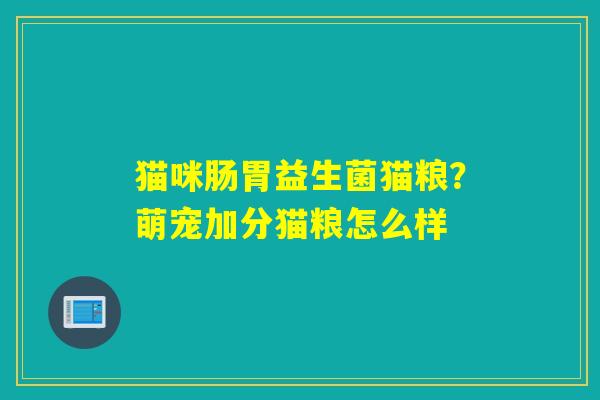 猫咪肠胃益生菌猫粮？萌宠加分猫粮怎么样