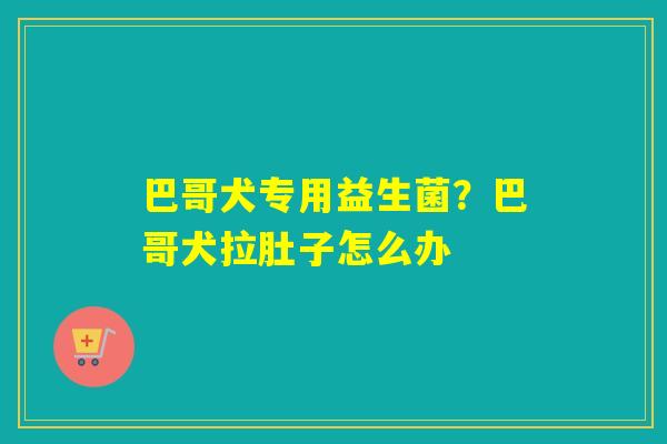 巴哥犬专用益生菌?巴哥犬拉肚子怎么办 巴哥犬专用益生菌?巴哥犬拉肚子怎么办