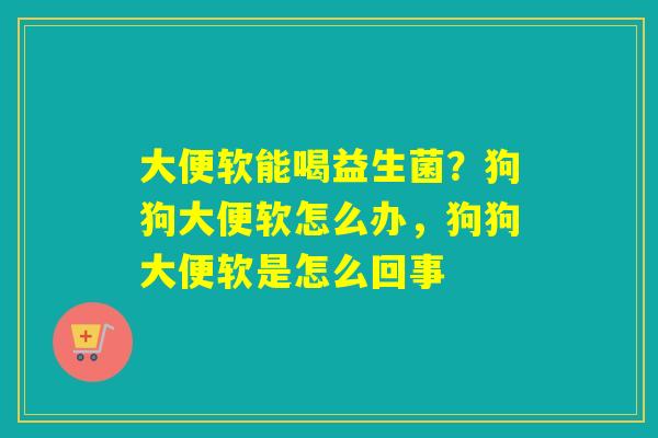 大便软能喝益生菌？狗狗大便软怎么办，狗狗大便软是怎么回事