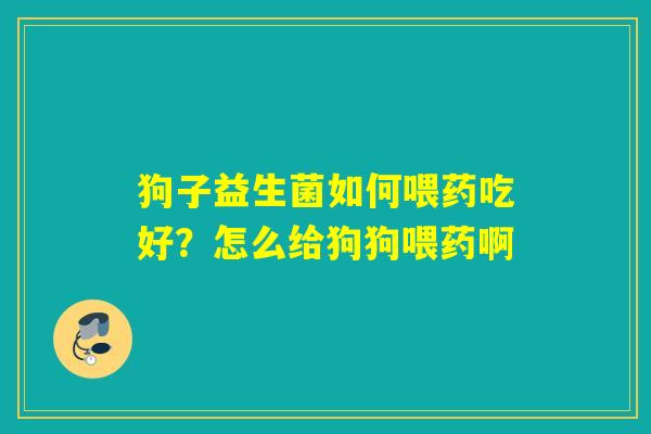 狗子益生菌如何喂药吃好？怎么给狗狗喂药啊