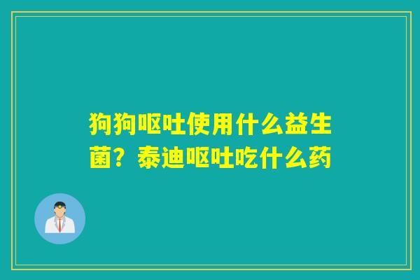 狗狗使用什么益生菌？泰迪吃什么药