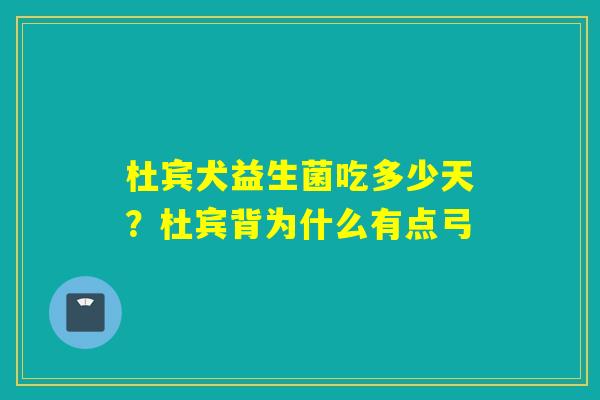 杜宾犬益生菌吃多少天？杜宾背为什么有点弓