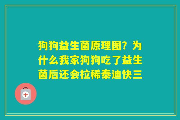 狗狗益生菌原理图？为什么我家狗狗吃了益生菌后还会拉稀泰迪快三