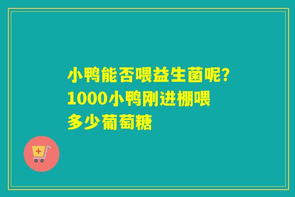 小鸭能否喂益生菌呢？1000小鸭刚进棚喂多少葡萄糖
