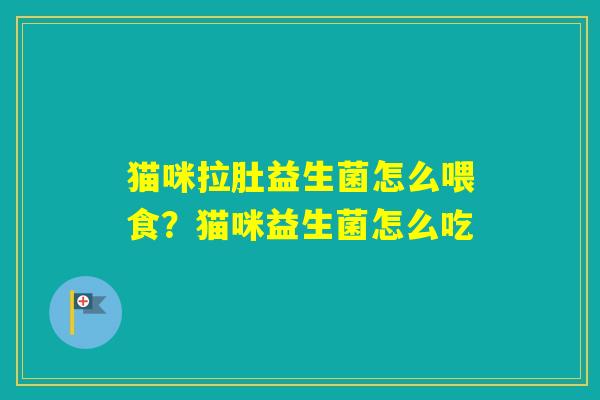 猫咪拉肚益生菌怎么喂食？猫咪益生菌怎么吃