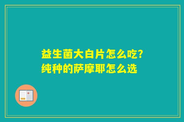 益生菌大白片怎么吃？纯种的萨摩耶怎么选