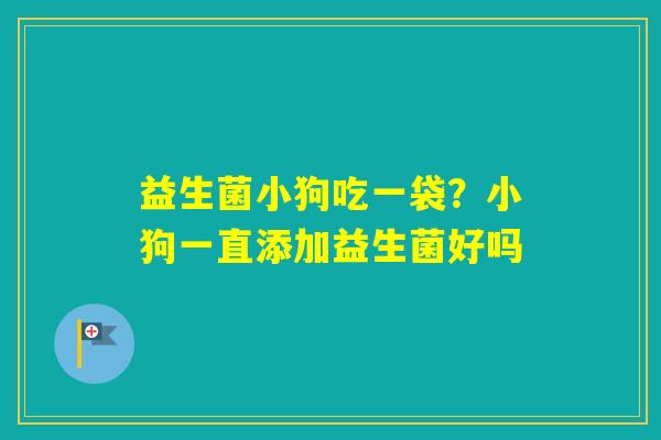 益生菌小狗吃一袋？小狗一直添加益生菌好吗