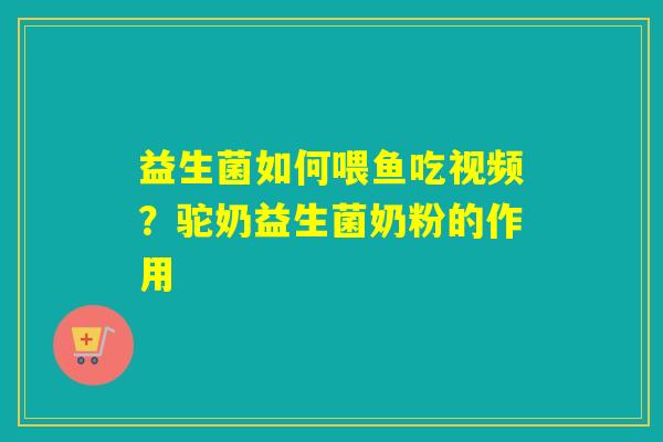 益生菌如何喂鱼吃视频?驼奶益生菌奶粉的作用 益生菌如何喂鱼吃视频?驼奶益生菌奶粉的作用