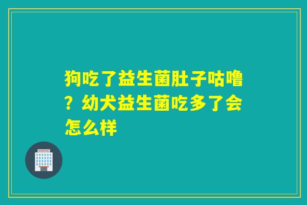 狗吃了益生菌肚子咕噜?幼犬益生菌吃多了会怎么样 狗吃了益生菌肚子咕噜?幼犬益生菌吃多了会怎么样