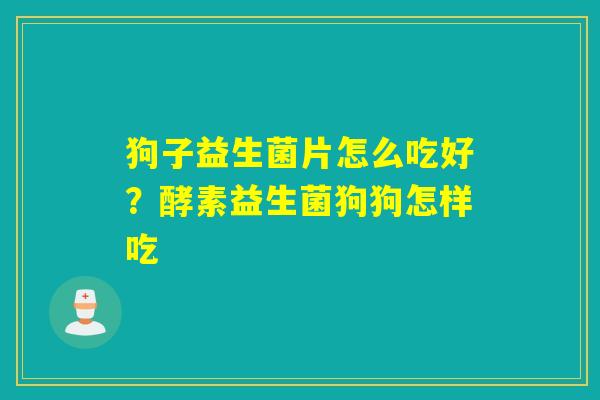 狗子益生菌片怎么吃好？酵素益生菌狗狗怎样吃