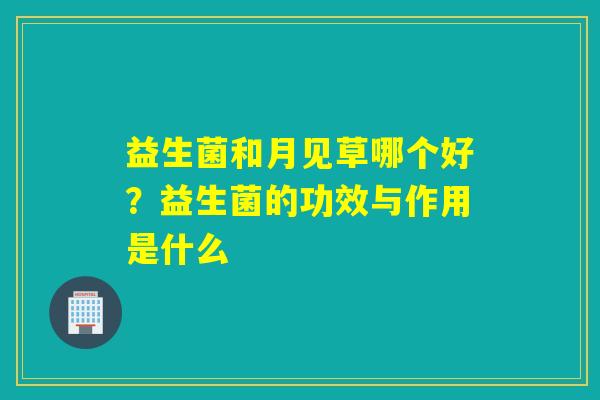 益生菌和月见草哪个好？益生菌的功效与作用是什么