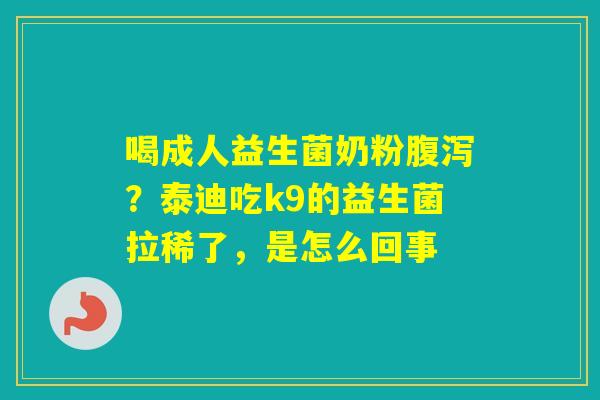 喝成人益生菌奶粉？泰迪吃k9的益生菌拉稀了，是怎么回事