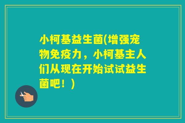 小柯基益生菌(增强宠物力，小柯基主人们从现在开始试试益生菌吧！)