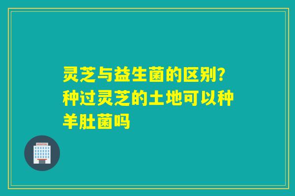 灵芝与益生菌的区别?种过灵芝的土地可以种羊肚菌吗 灵芝与益生菌的区别?种过灵芝的土地可以种羊肚菌吗