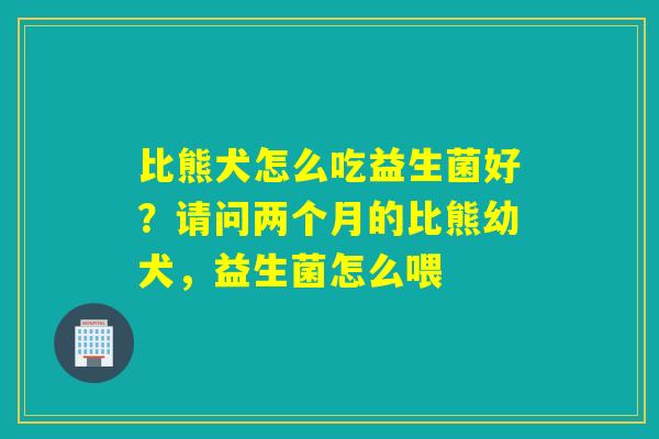 比熊犬怎么吃益生菌好？请问两个月的比熊幼犬，益生菌怎么喂