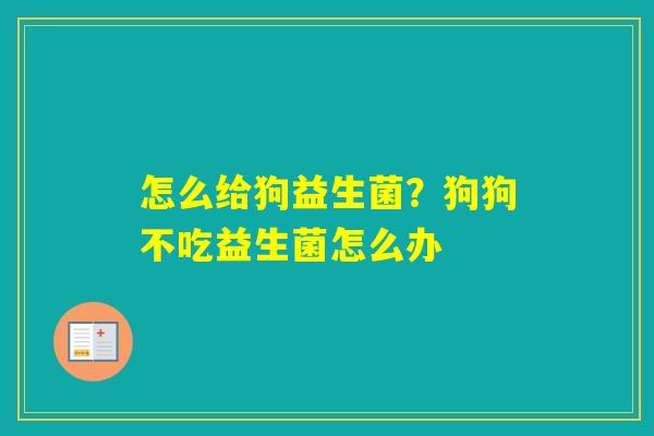 怎么给狗益生菌？狗狗不吃益生菌怎么办