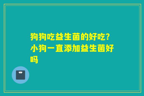狗狗吃益生菌的好吃？小狗一直添加益生菌好吗