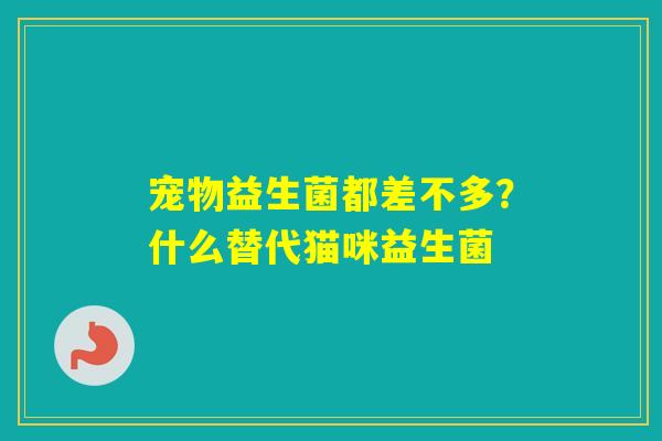 宠物益生菌都差不多？什么替代猫咪益生菌
