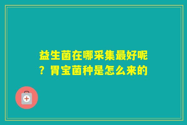 益生菌在哪采集好呢？胃宝菌种是怎么来的