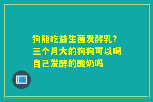 狗能吃益生菌发酵乳?三个月大的狗狗可以喝自己发酵的酸奶吗 狗能吃益生菌发酵乳?三个月大的狗狗可以喝自己发酵的酸奶吗