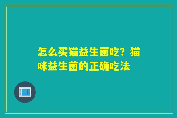 怎么买猫益生菌吃？猫咪益生菌的正确吃法