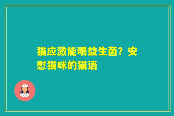 猫应激能喂益生菌？安慰猫咪的猫语