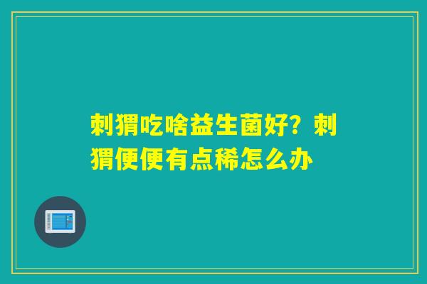 刺猬吃啥益生菌好?刺猬便便有点稀怎么办 刺猬吃啥益生菌好?刺猬便便有点稀怎么办