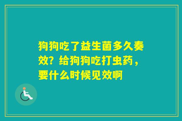 狗狗吃了益生菌多久奏效？给狗狗吃打虫药，要什么时候见效啊