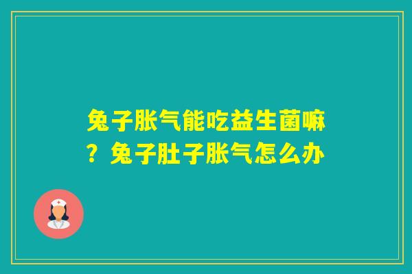 兔子能吃益生菌嘛？兔子肚子怎么办