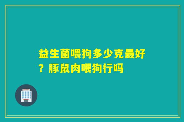 益生菌喂狗多少克好？豚鼠肉喂狗行吗