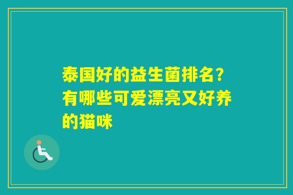 泰国好的益生菌排名?有哪些可爱漂亮又好养的猫咪 泰国好的益生菌排名?有哪些可爱漂亮又好养的猫咪