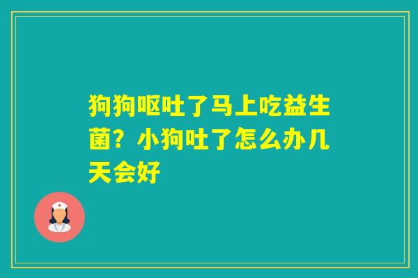 狗狗了马上吃益生菌？小狗吐了怎么办几天会好