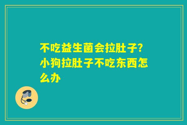 不吃益生菌会拉肚子?小狗拉肚子不吃东西怎么办 不吃益生菌会拉肚子?小狗拉肚子不吃东西怎么办