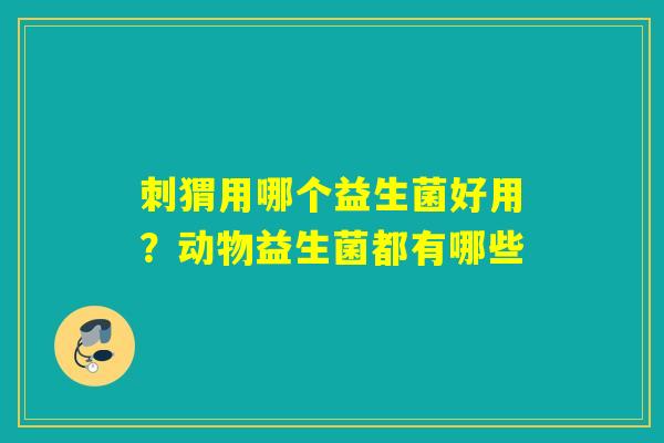 刺猬用哪个益生菌好用?动物益生菌都有哪些 刺猬用哪个益生菌好用?动物益生菌都有哪些