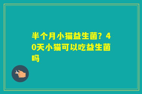 半个月小猫益生菌？40天小猫可以吃益生菌吗