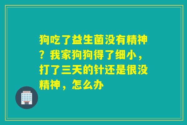 狗吃了益生菌没有精神？我家狗狗得了细小，打了三天的针还是很没精神，怎么办