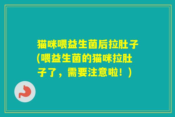 猫咪喂益生菌后拉肚子(喂益生菌的猫咪拉肚子了，需要注意啦！)