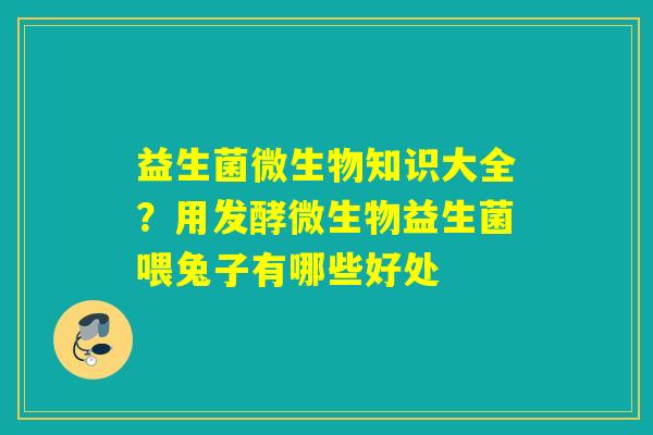 益生菌微生物知识大全?用发酵微生物益生菌喂兔子有哪些好处 益生菌微生物知识大全?用发酵微生物益生菌喂兔子有哪些好处