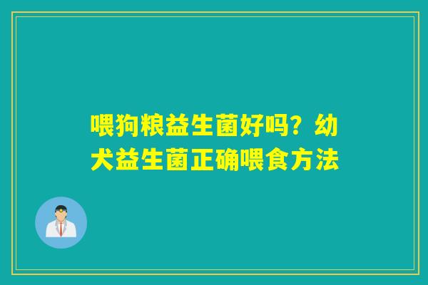 喂狗粮益生菌好吗？幼犬益生菌正确喂食方法